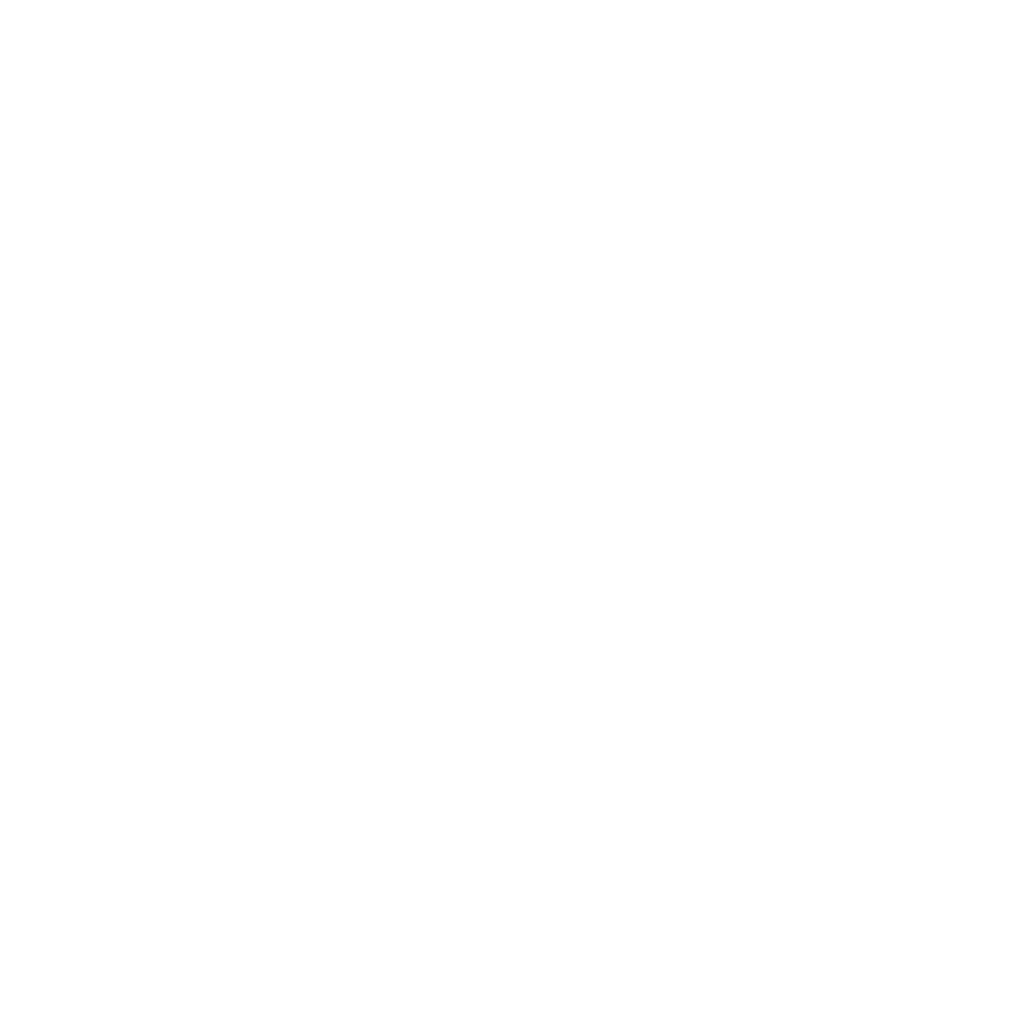 Flame Logo #ffffff