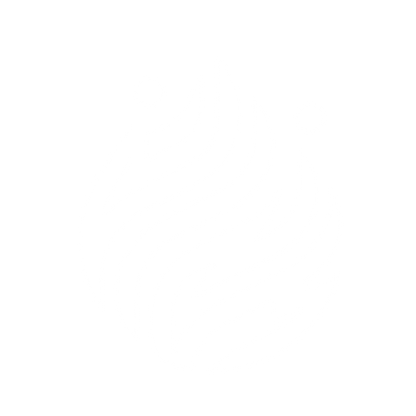 Flame Logo #ffffff