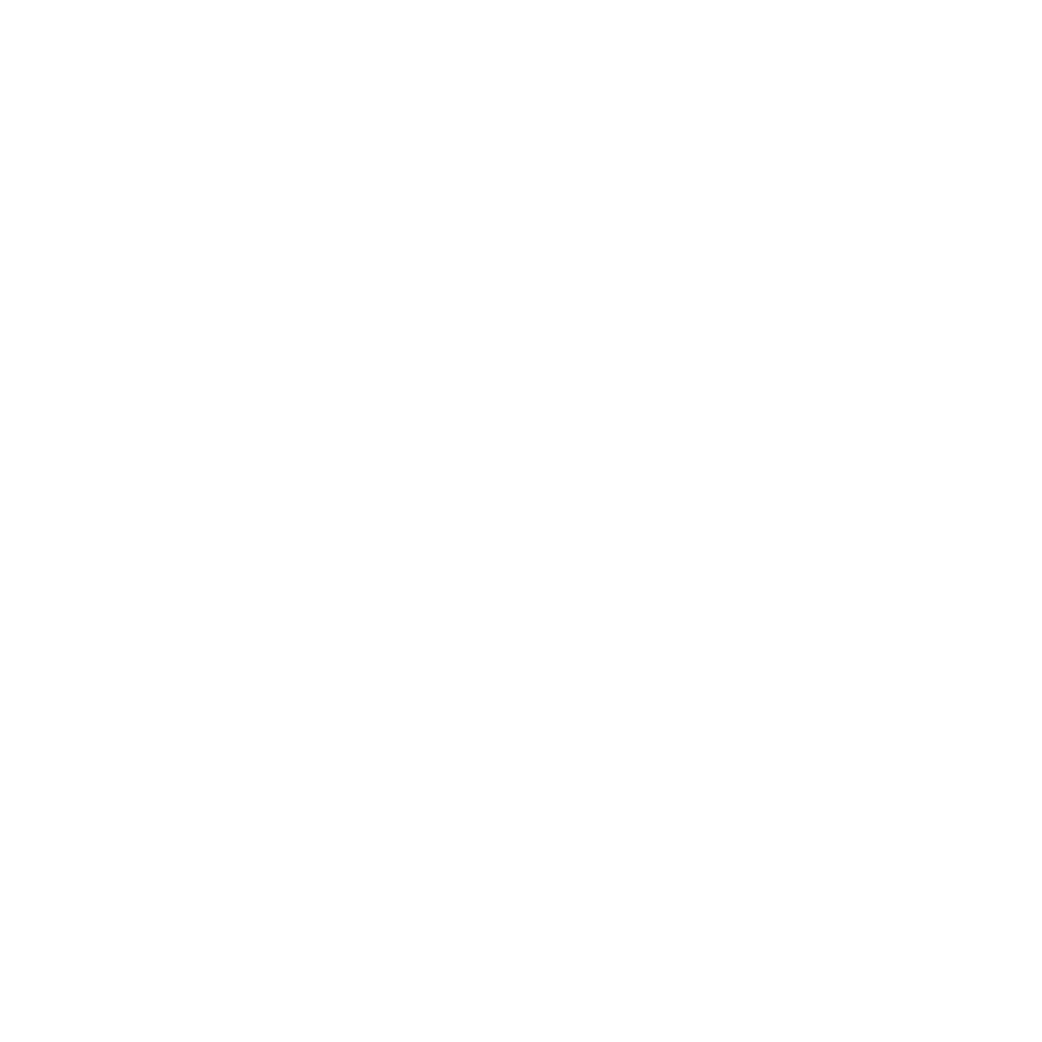 Wave Flag Logo #ffffff
