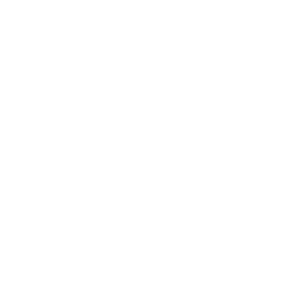 Wave Flag Logo #ffffff