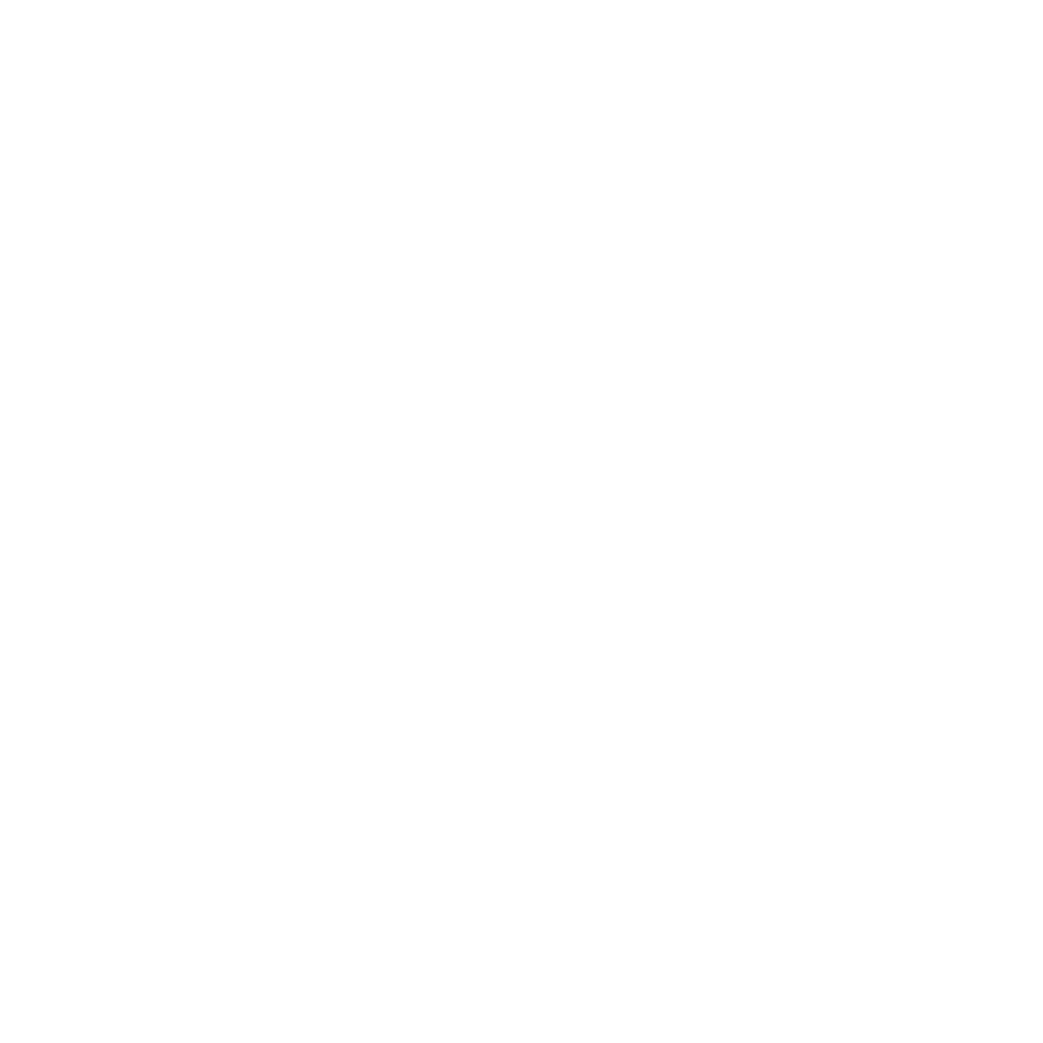 Abstract Flag Logo #ffffff