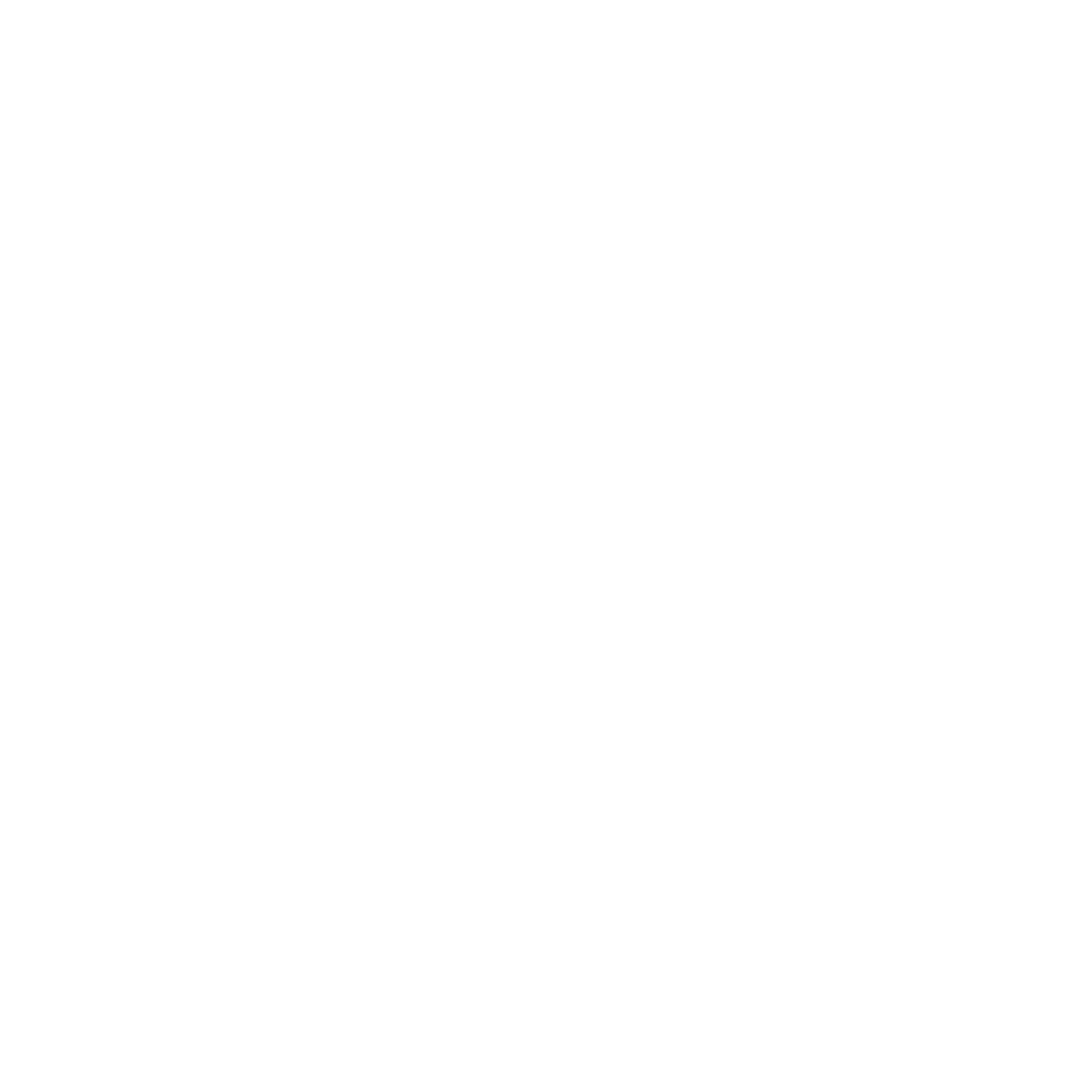 Circular Flag Logo #ffffff