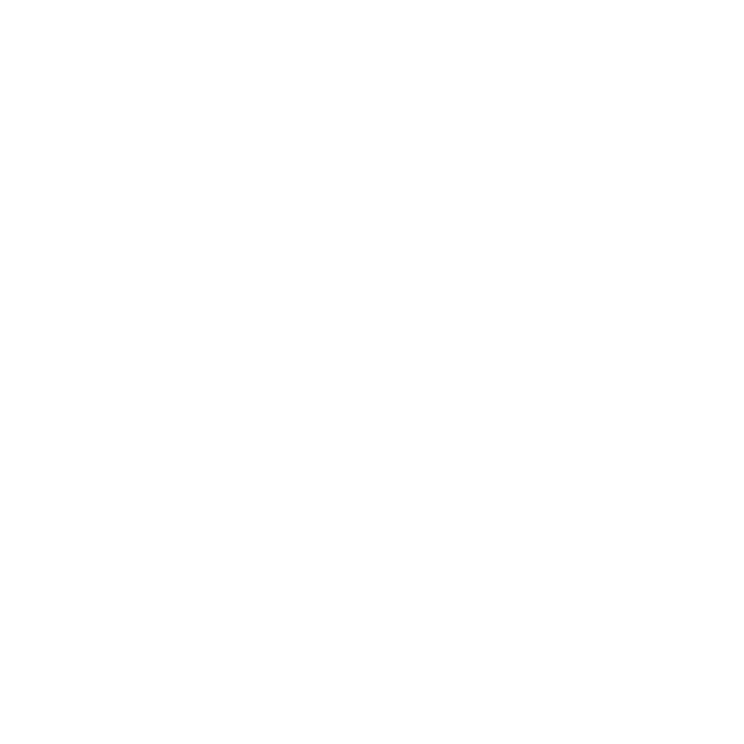 Stripe Flag Logo #ffffff