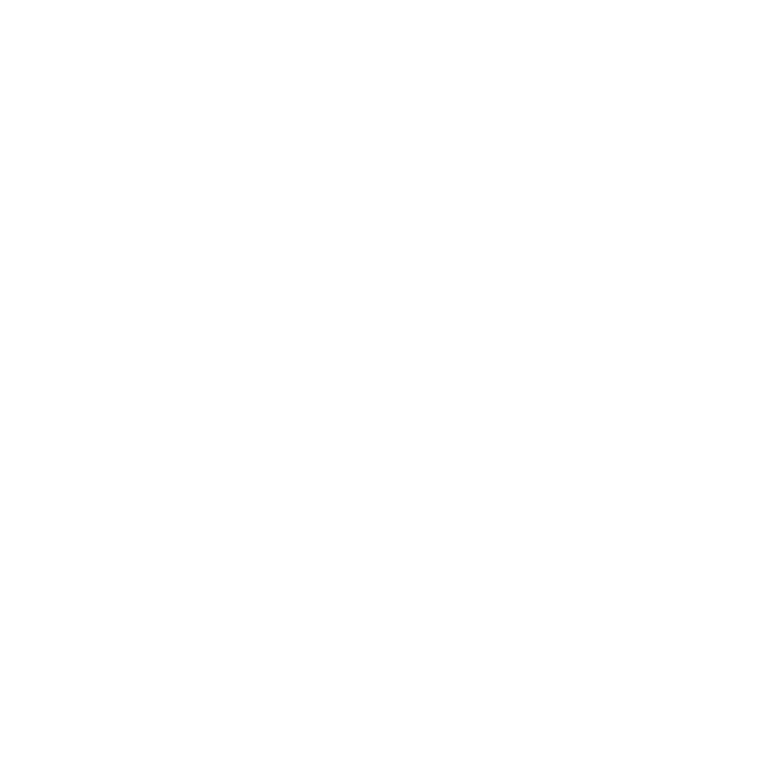 Simplified Globe Logo #ffffff