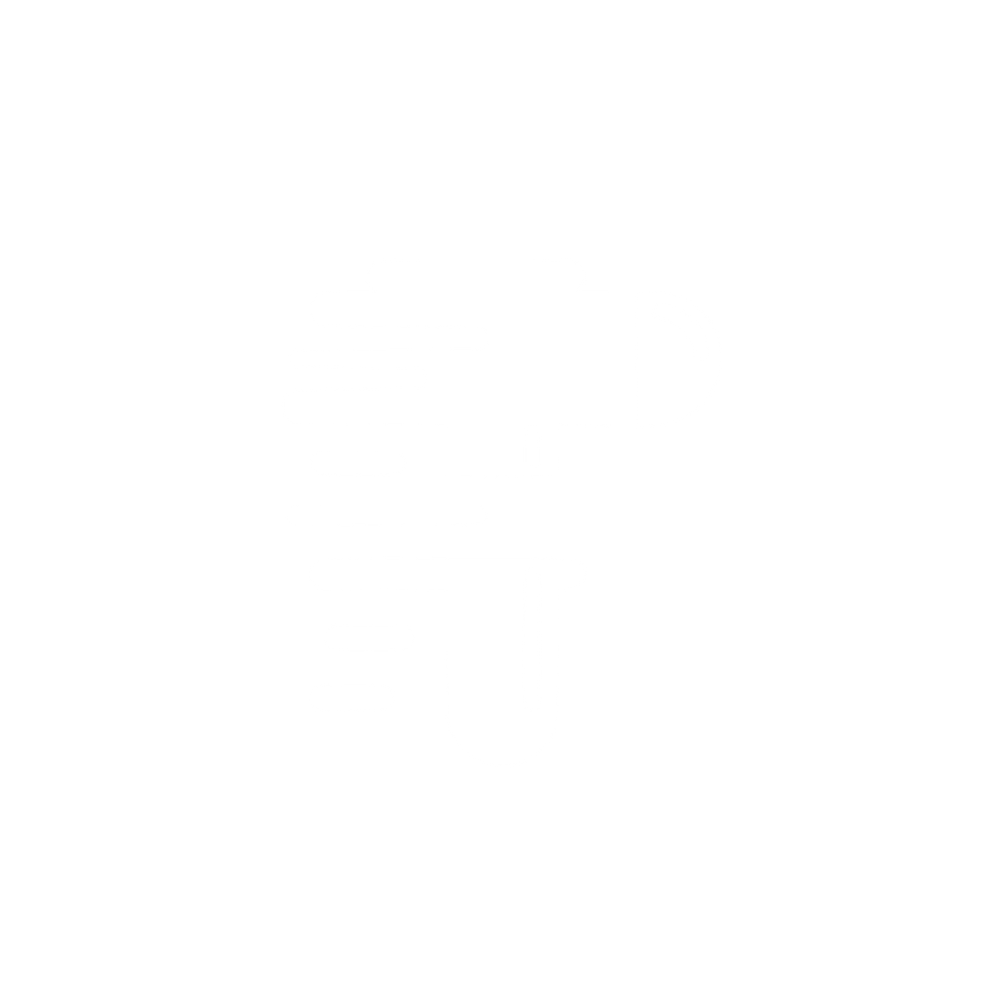 Speedy Bird Logo #ffffff