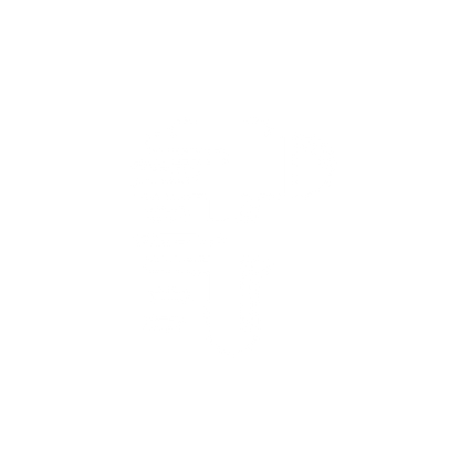 Speedy Bird Logo #ffffff