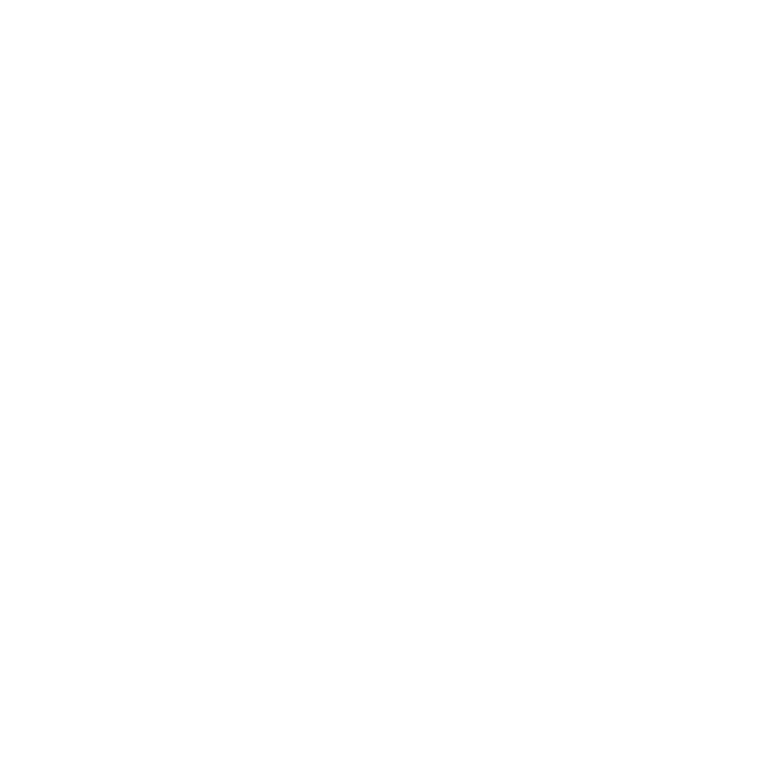 Anchor Fishing Logo #ffffff