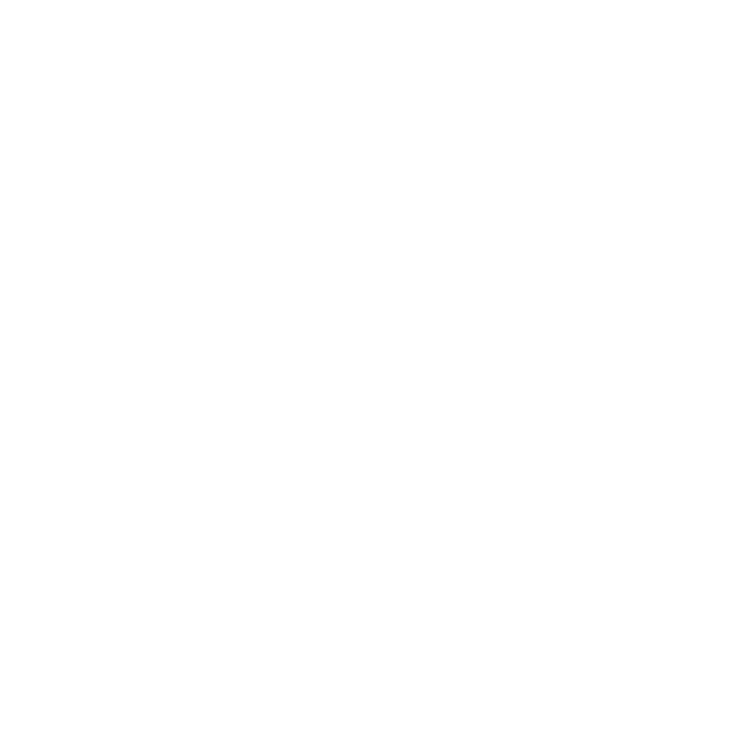 Anchor Fishing Logo #ffffff