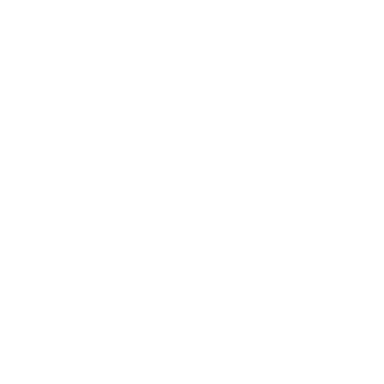 Anchor Fishing Logo #ffffff