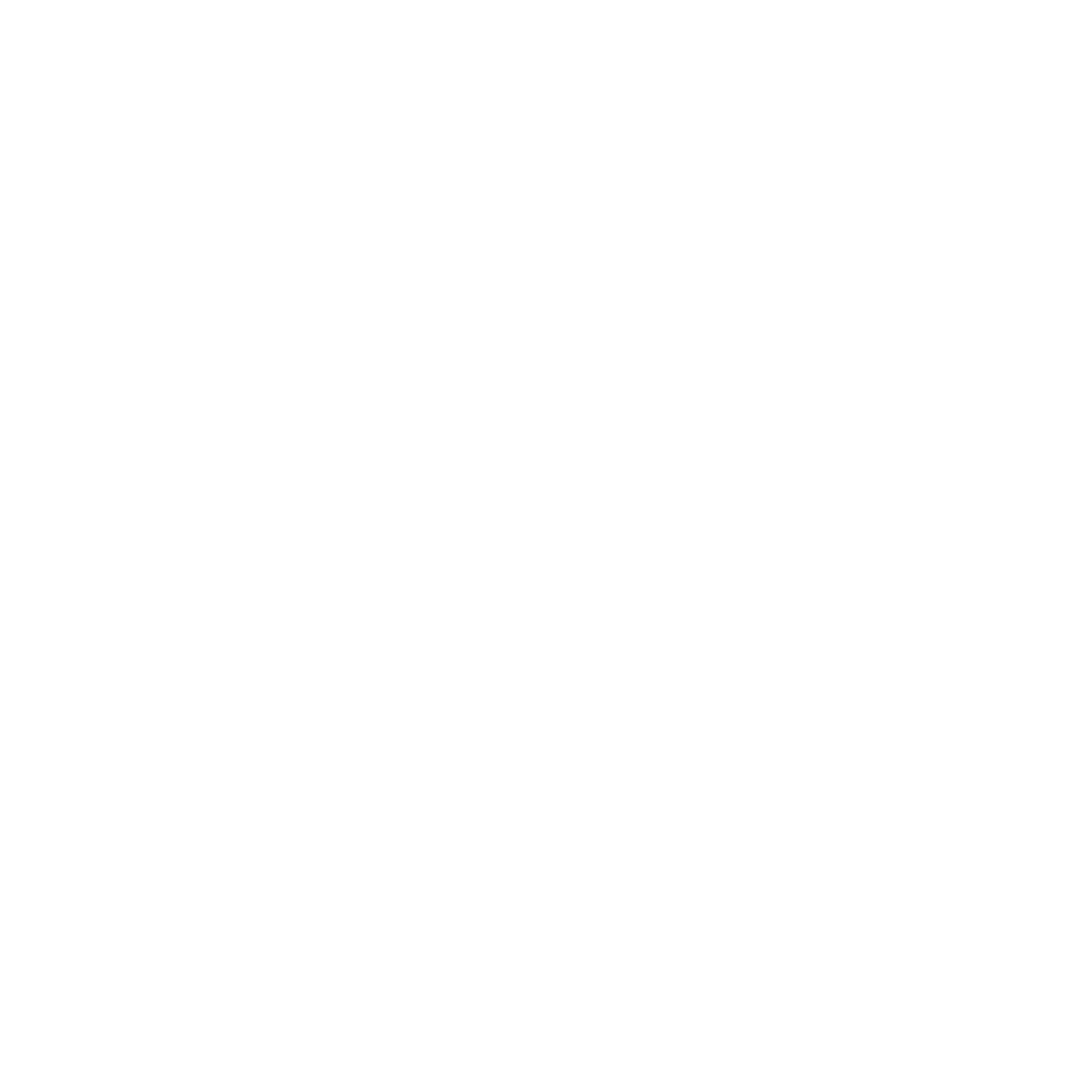 Anchor Fishing Logo #ffffff