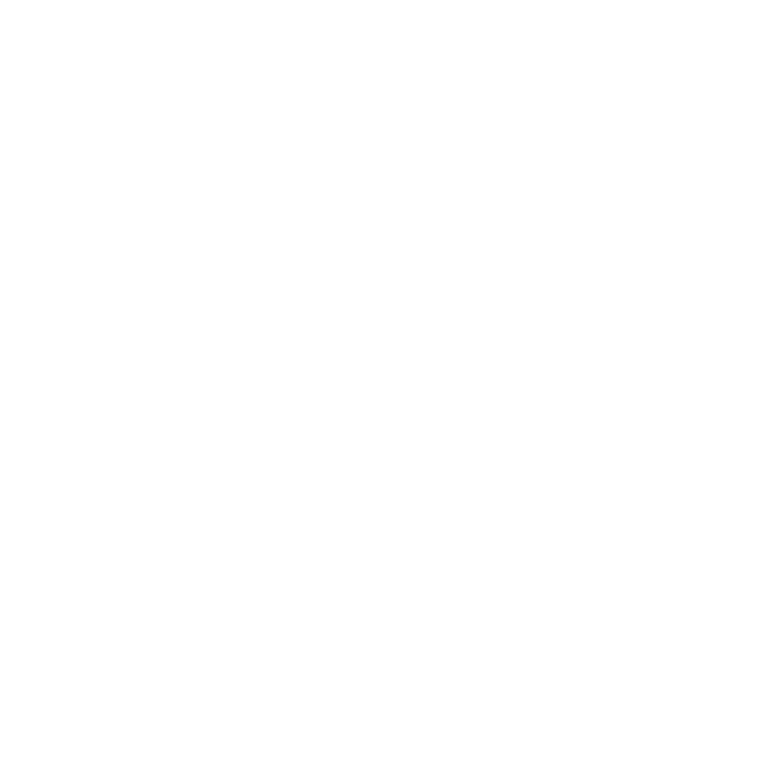 Speedy Cube Logo #ffffff