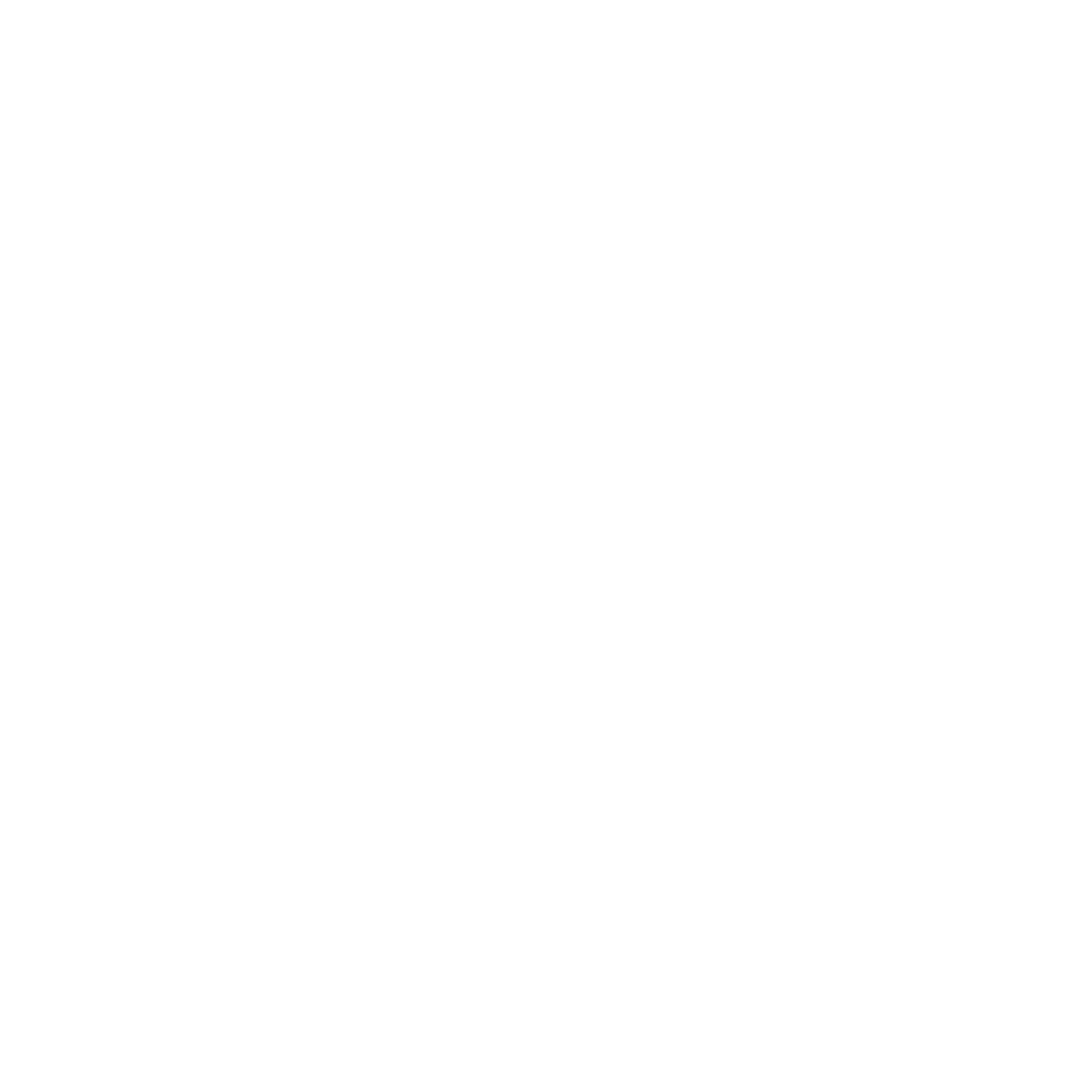 Intricate Mandala Logo #ffffff