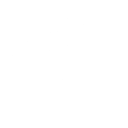 Intricate Mandala Logo #ffffff