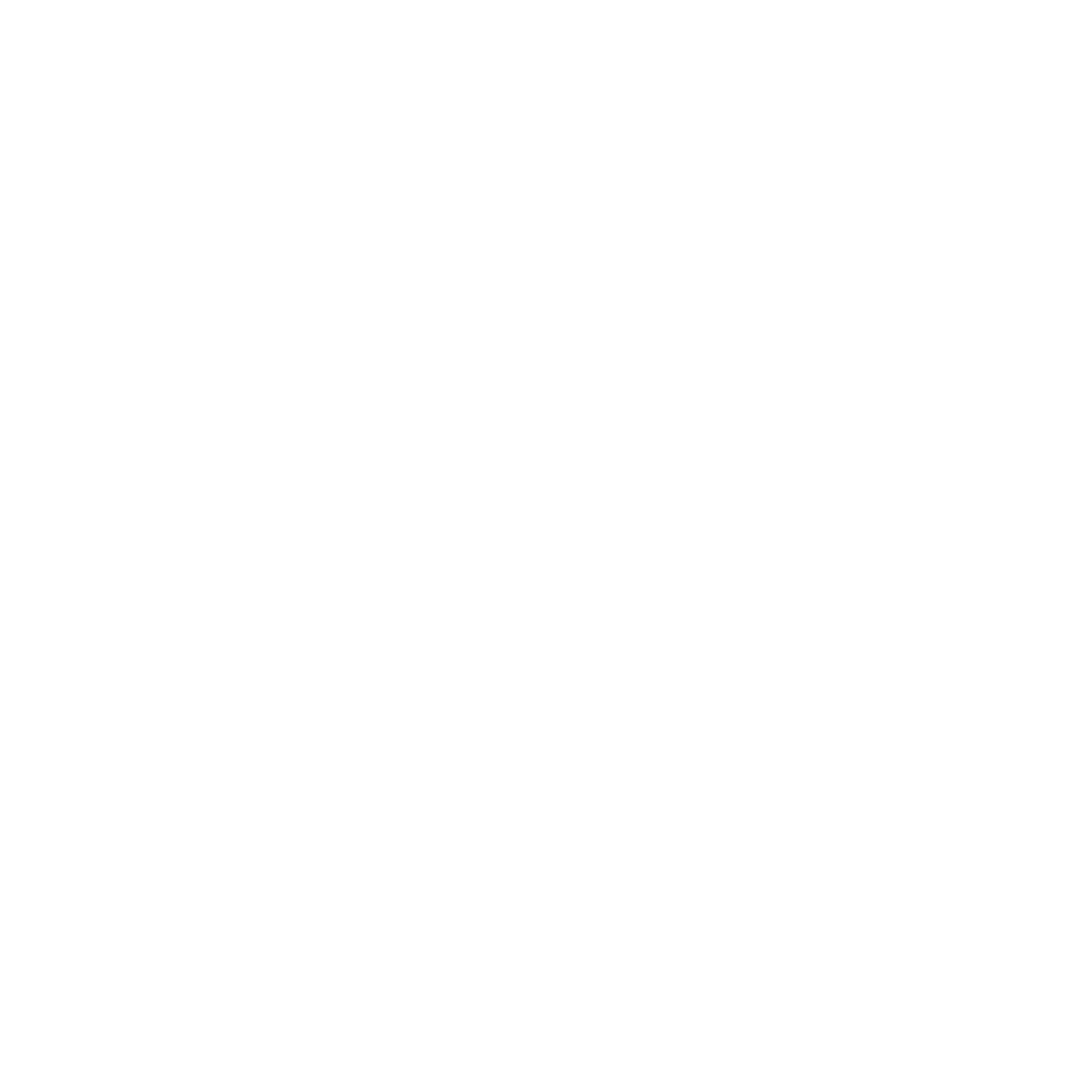 Key Silhouette Logo #ffffff