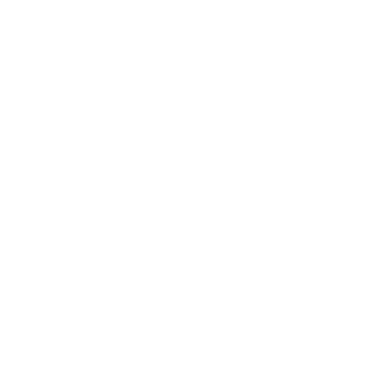Key Silhouette Logo #ffffff