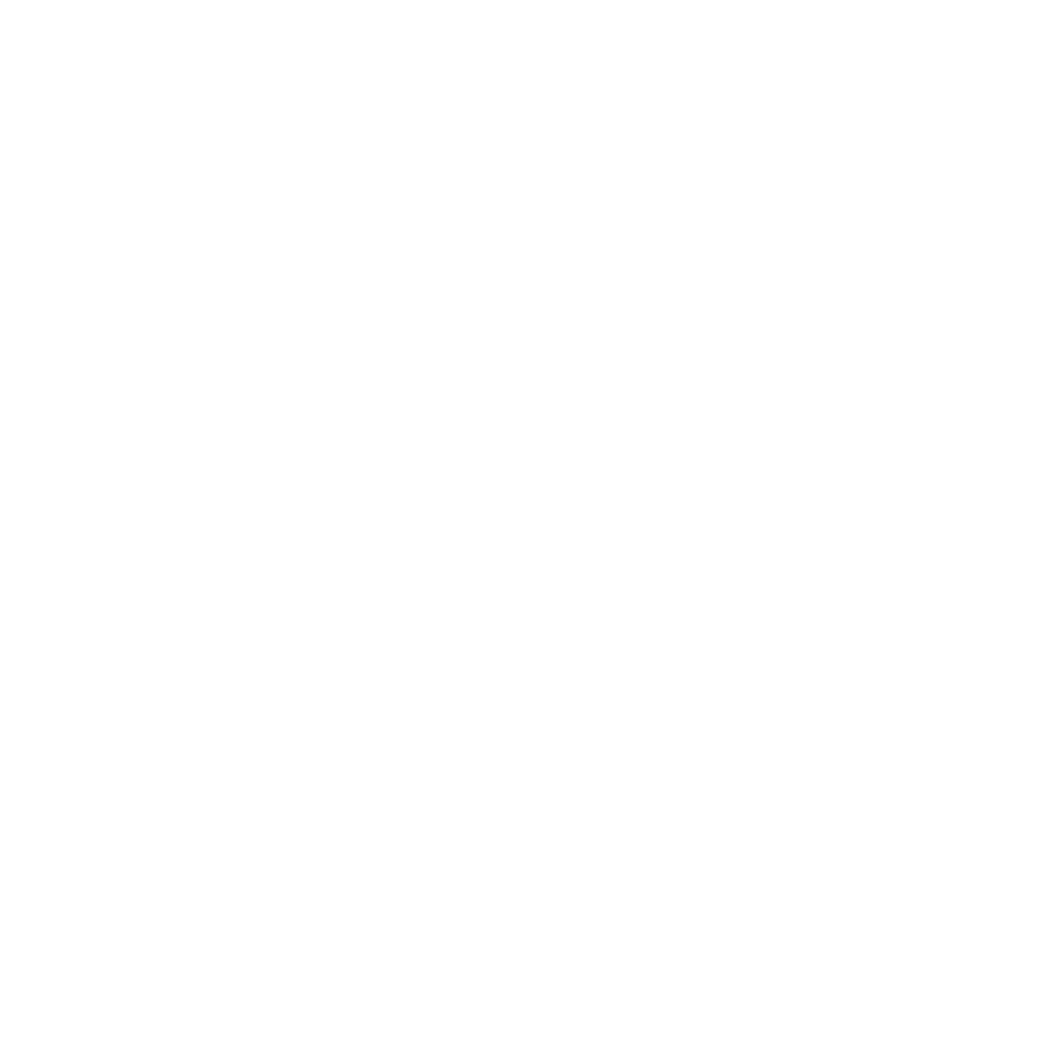 Key Silhouette Logo #ffffff
