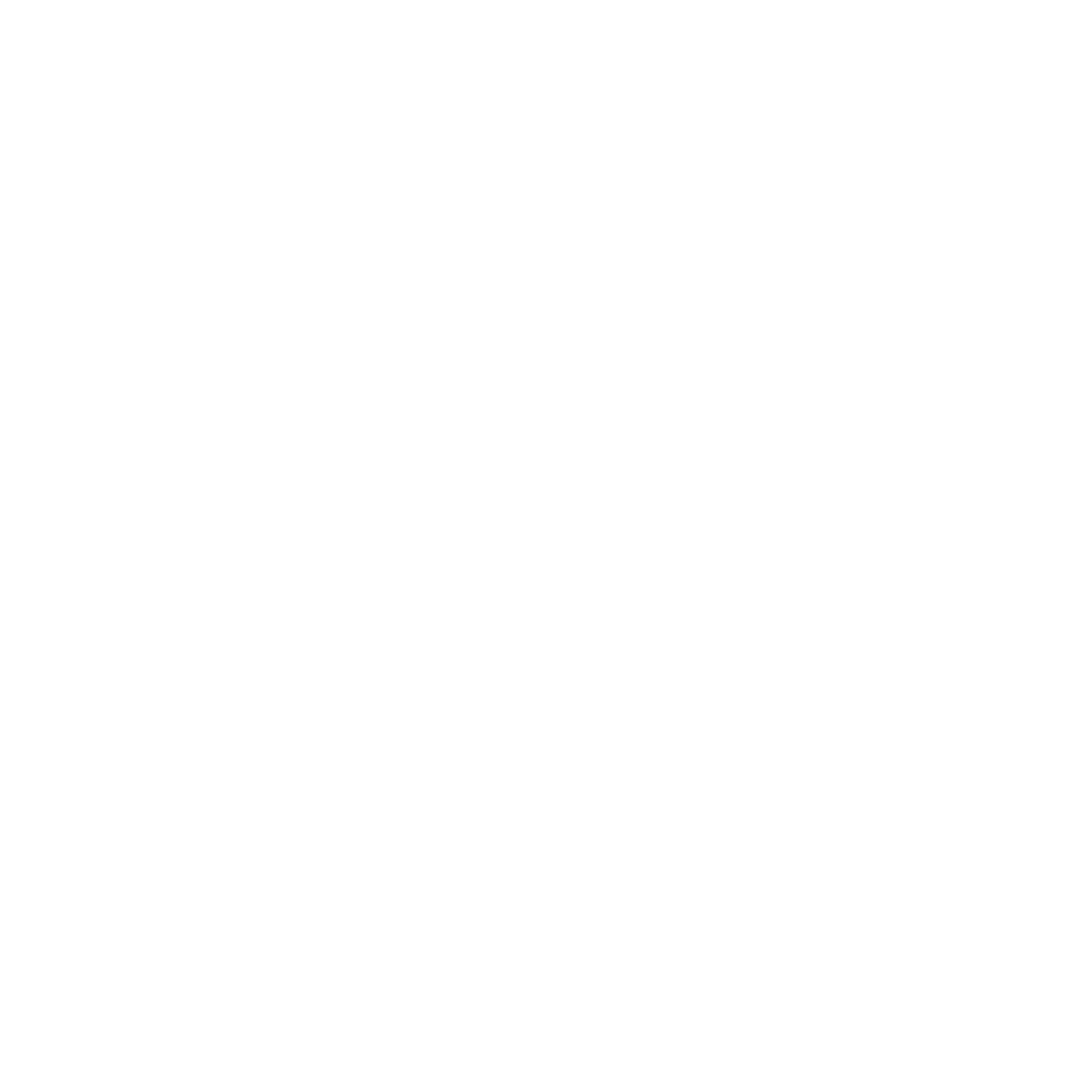 Kite Logo #ffffff