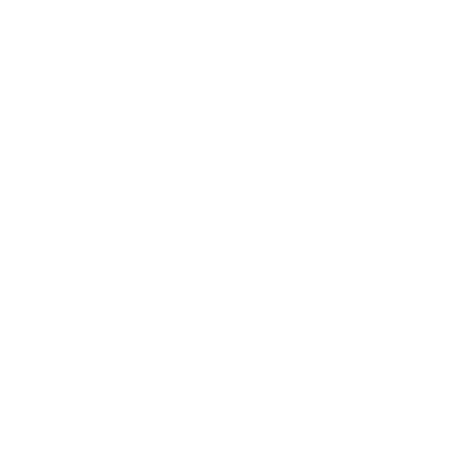 Kite Logo #ffffff