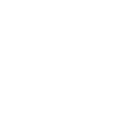 Kite Logo #ffffff
