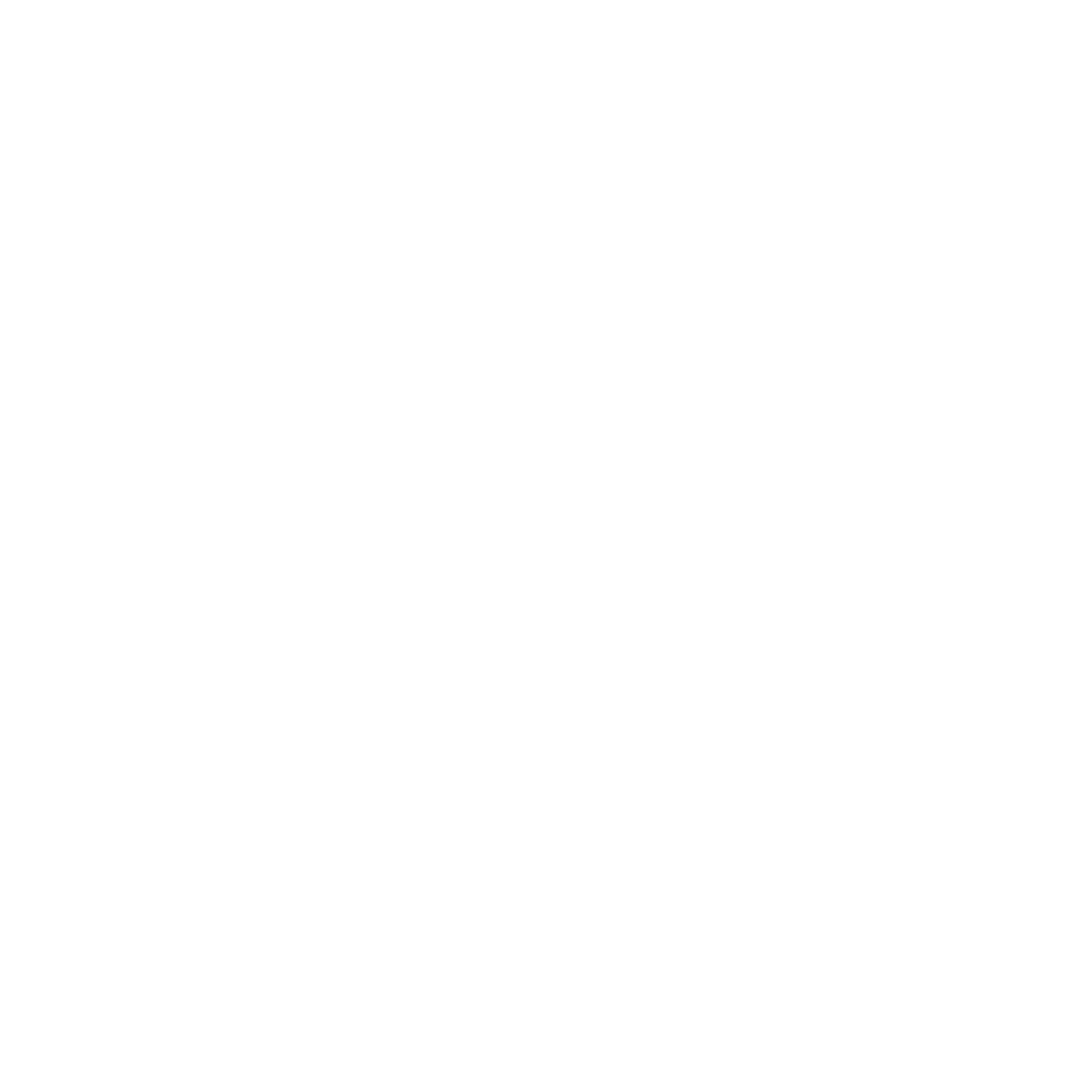 Ladder Icon #ffffff