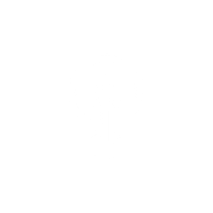 Bold Bulb Logo #ffffff