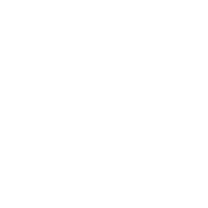 Light Bulb Logo #ffffff