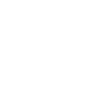 Light Bulb Logo #ffffff
