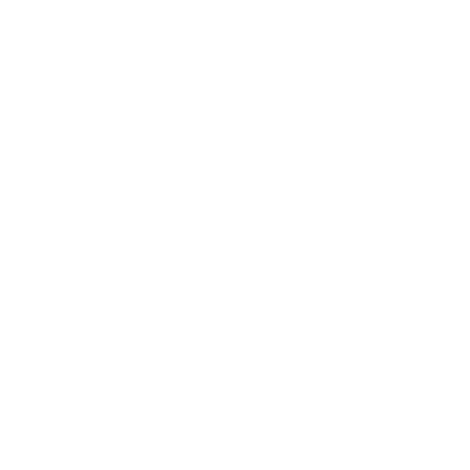 Security Padlock Logo #ffffff