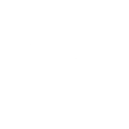 Security Padlock Logo #ffffff