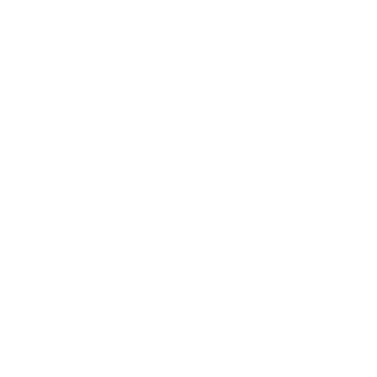 Secure Padlock Logo #ffffff