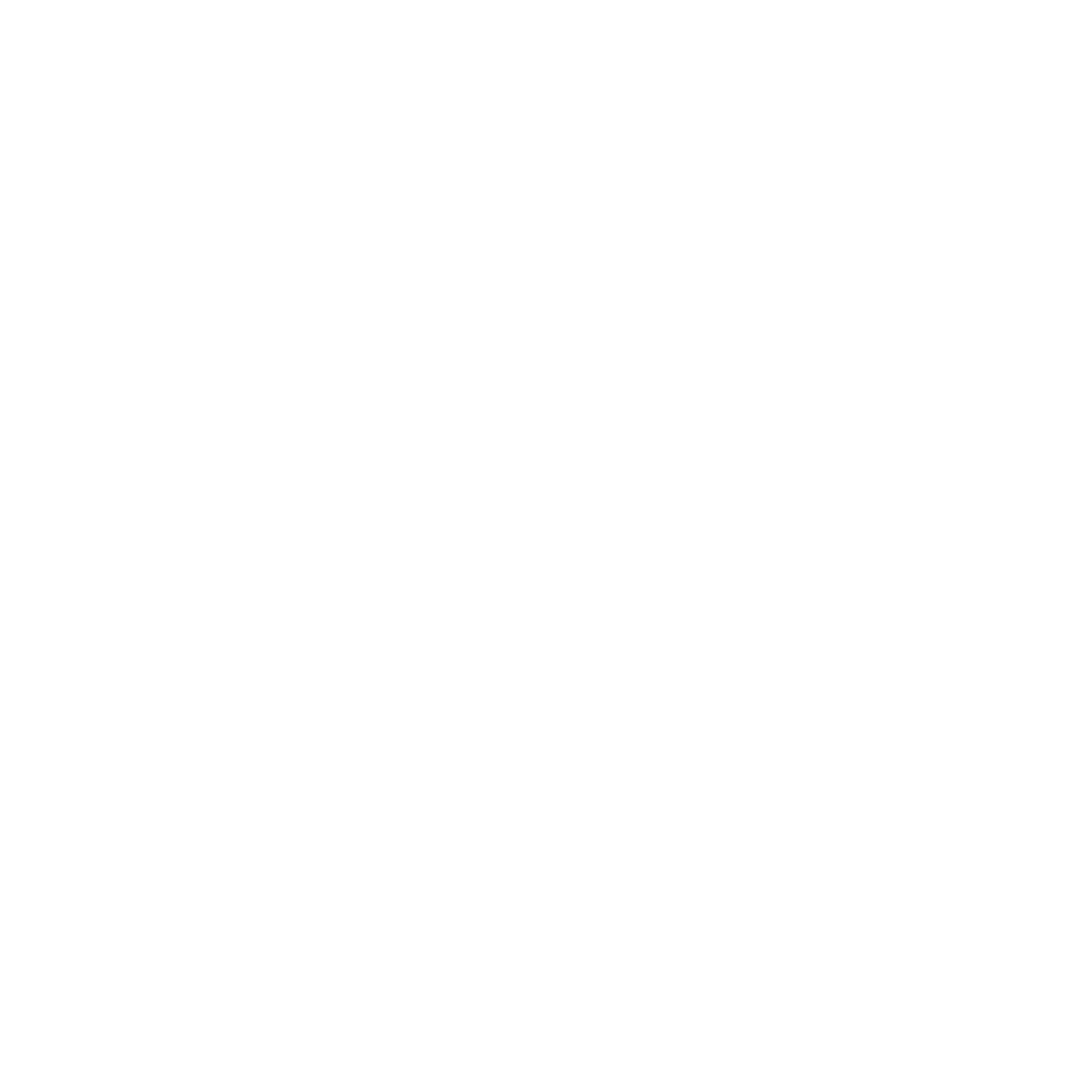 Magnetic Power Logo #ffffff