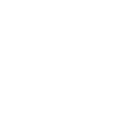 Magnetic Power Logo #ffffff