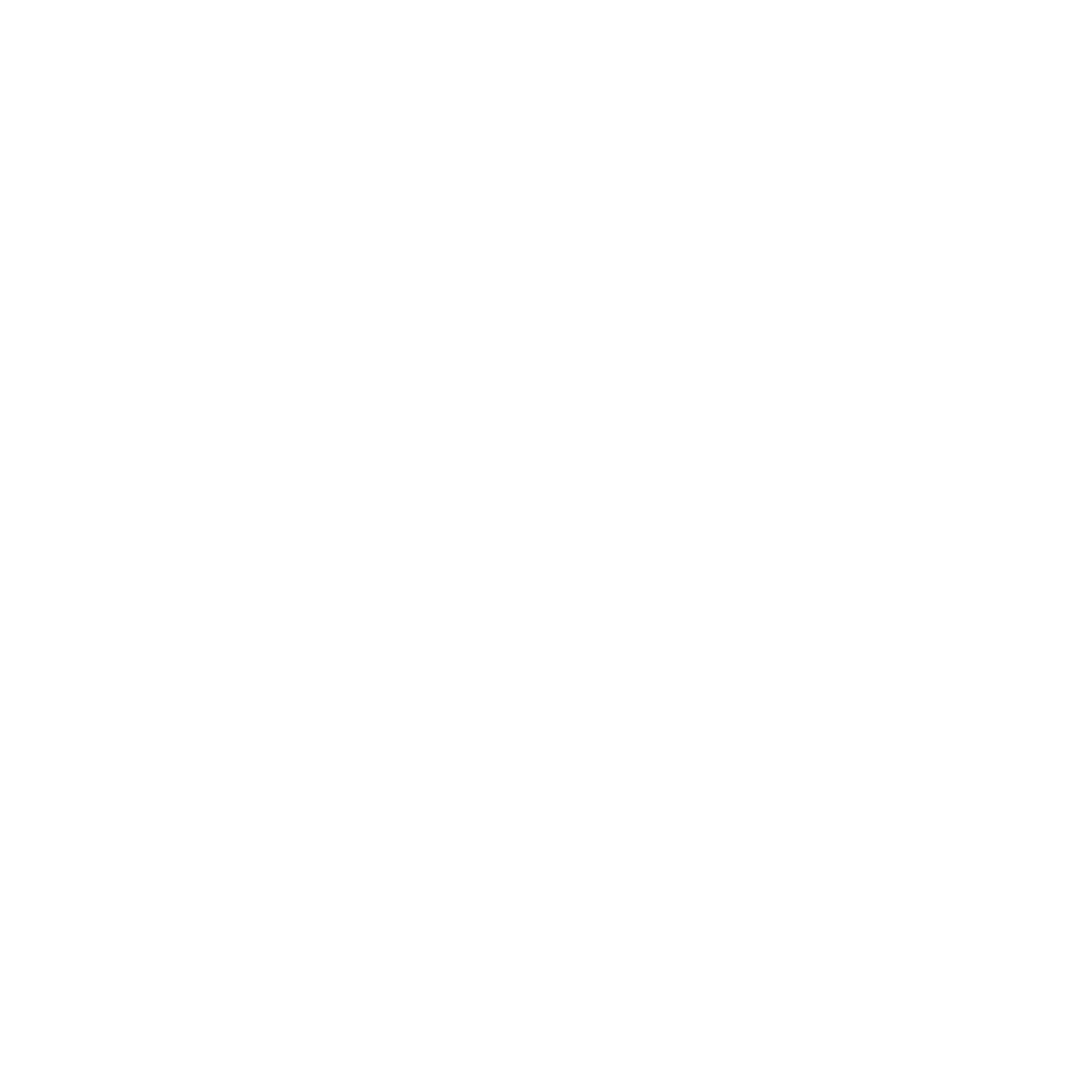Magnetic Horseshoe Logo #ffffff
