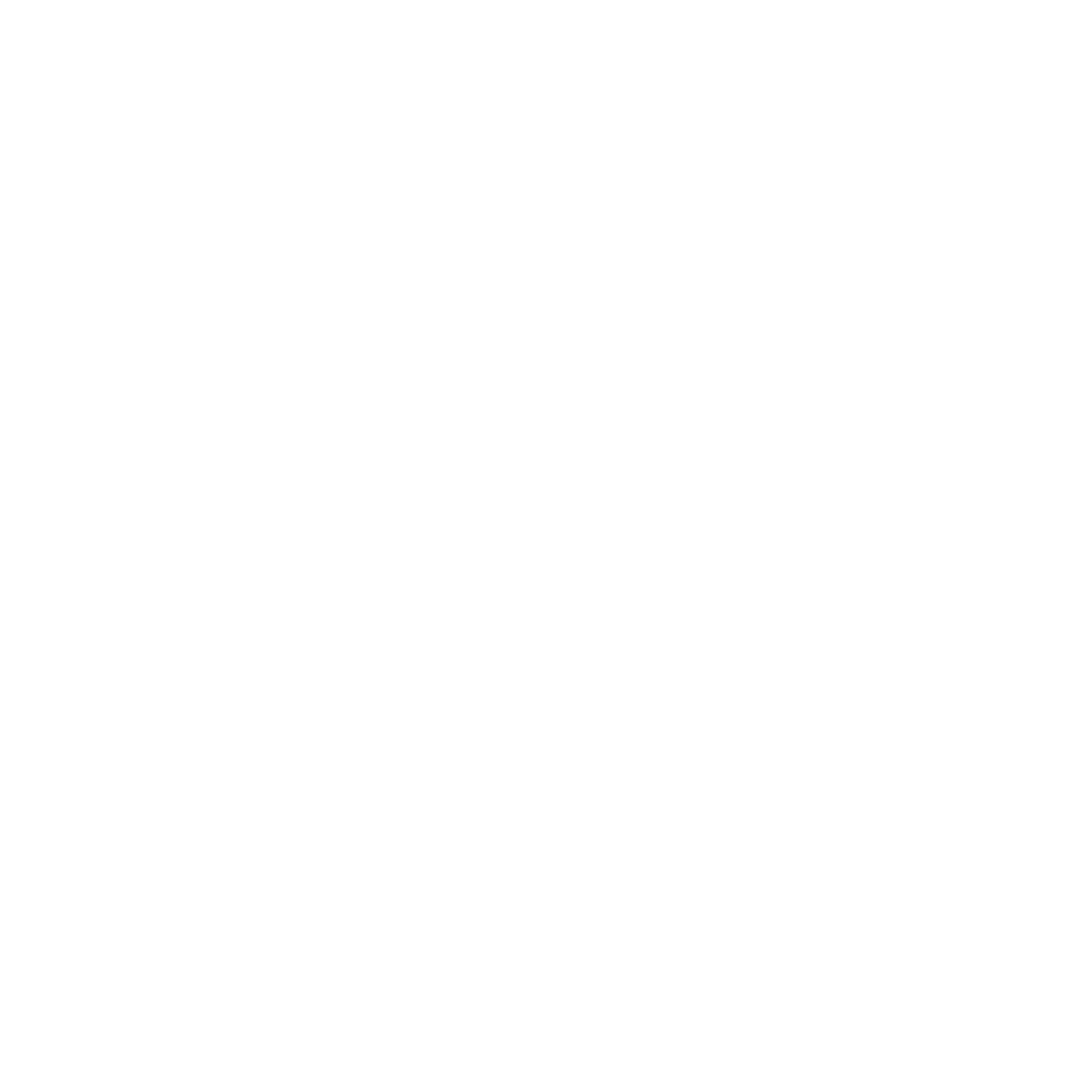 Magnet Power Logo #ffffff