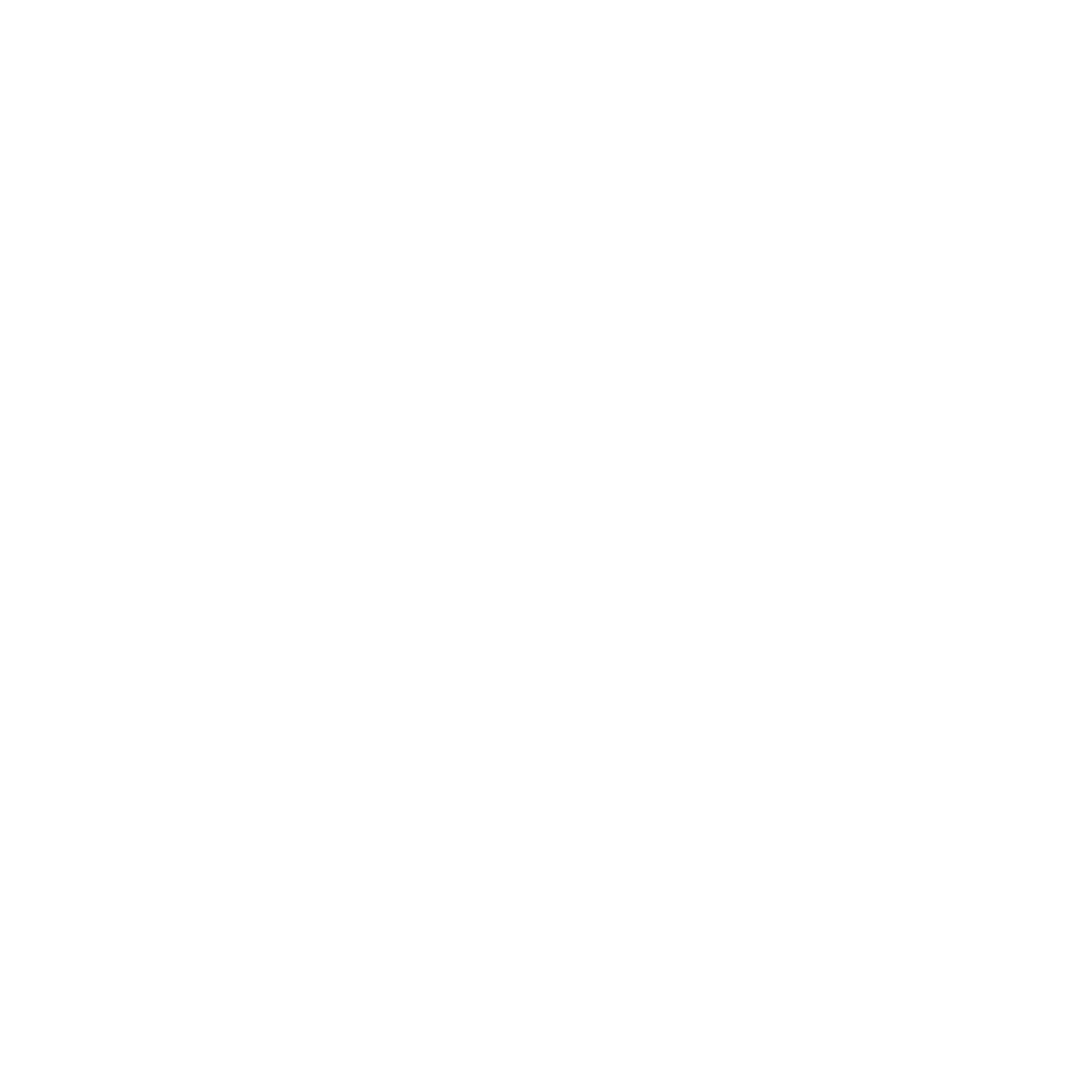 Magnet Tech Logo #ffffff