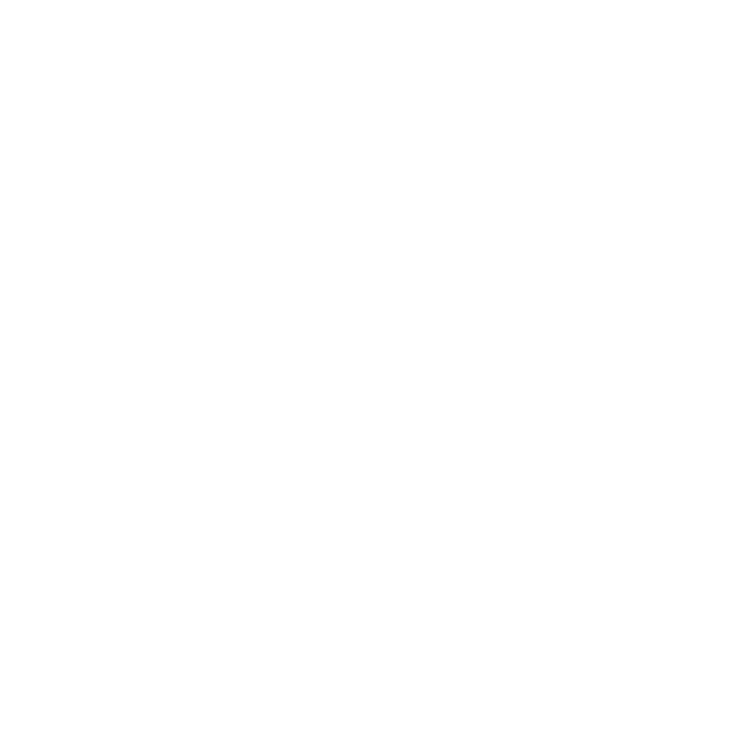 Magnifying Glass Logo #ffffff