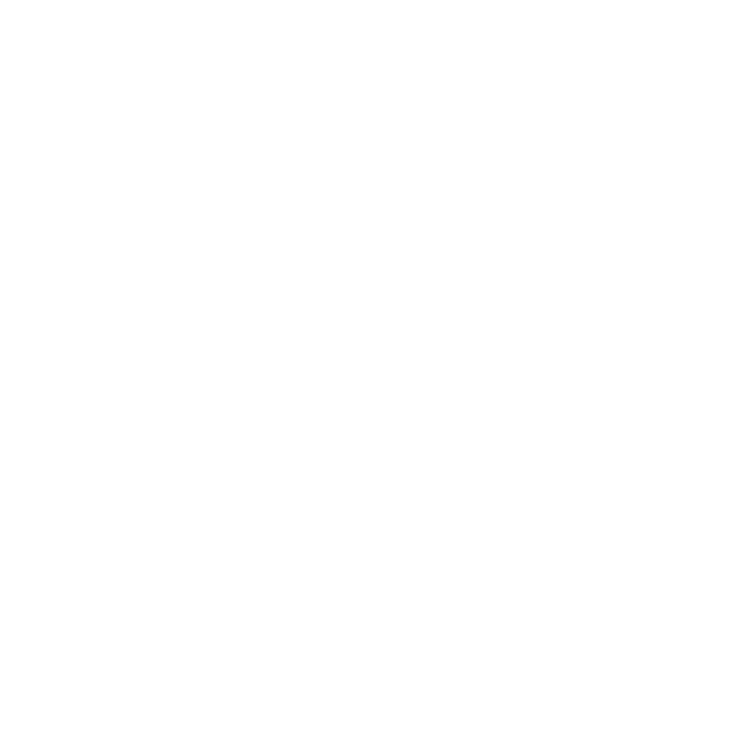 Matchstick Flame Logo #ffffff