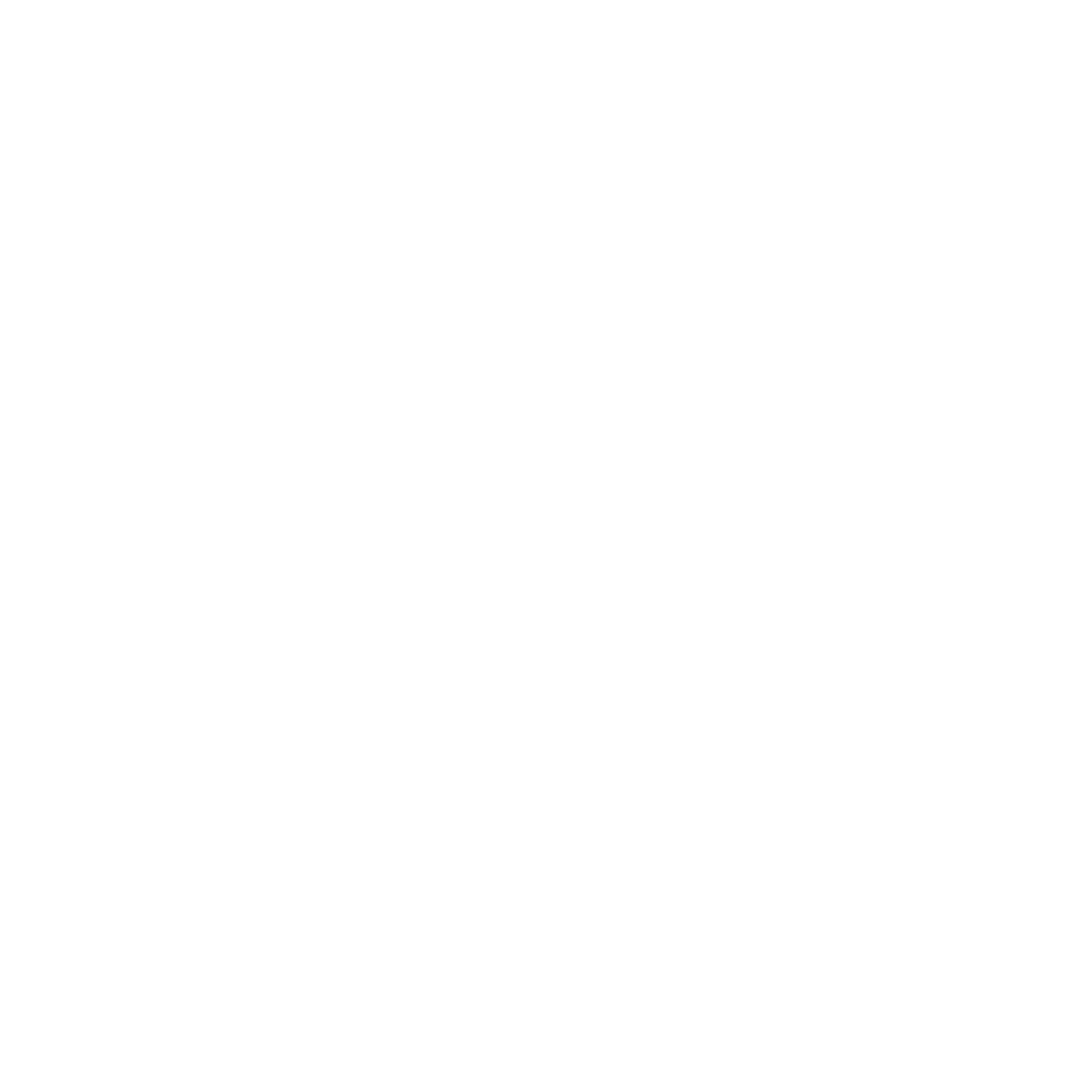 Abstract Torch Logo #ffffff