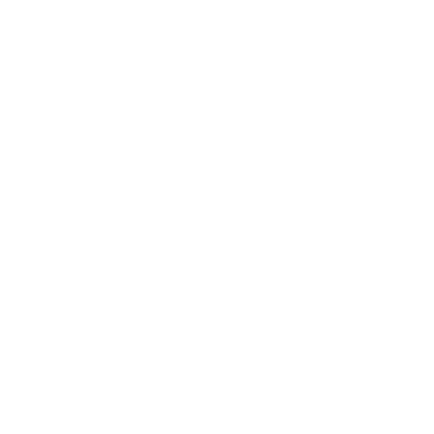 Matchstick Flame Logo #ffffff