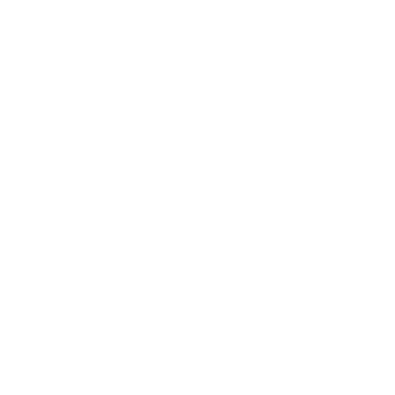 Torch Logo #ffffff