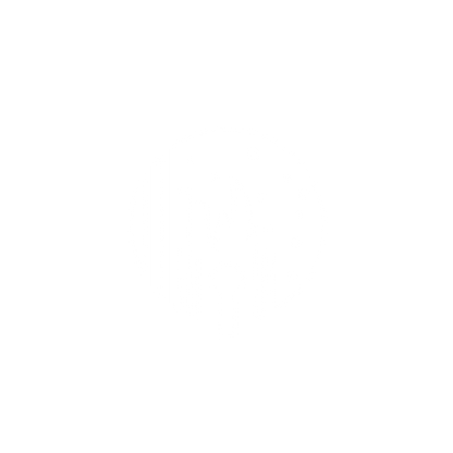 Torch Logo #ffffff