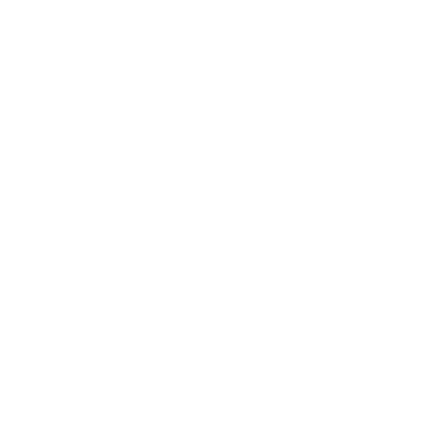 Branding Logo Design #ffffff