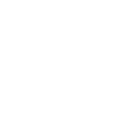 Branding Logo Design #ffffff