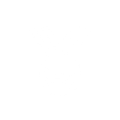Abstract Medal Logo #ffffff