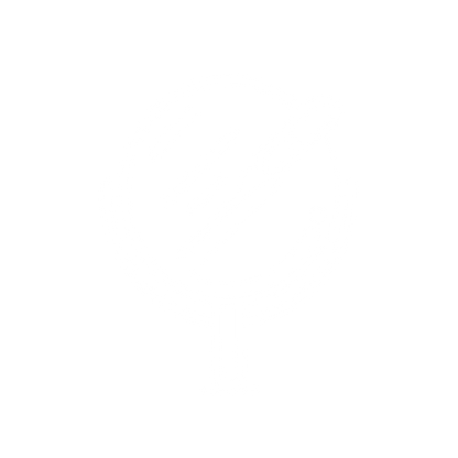 Beauty Mirror Logo #ffffff
