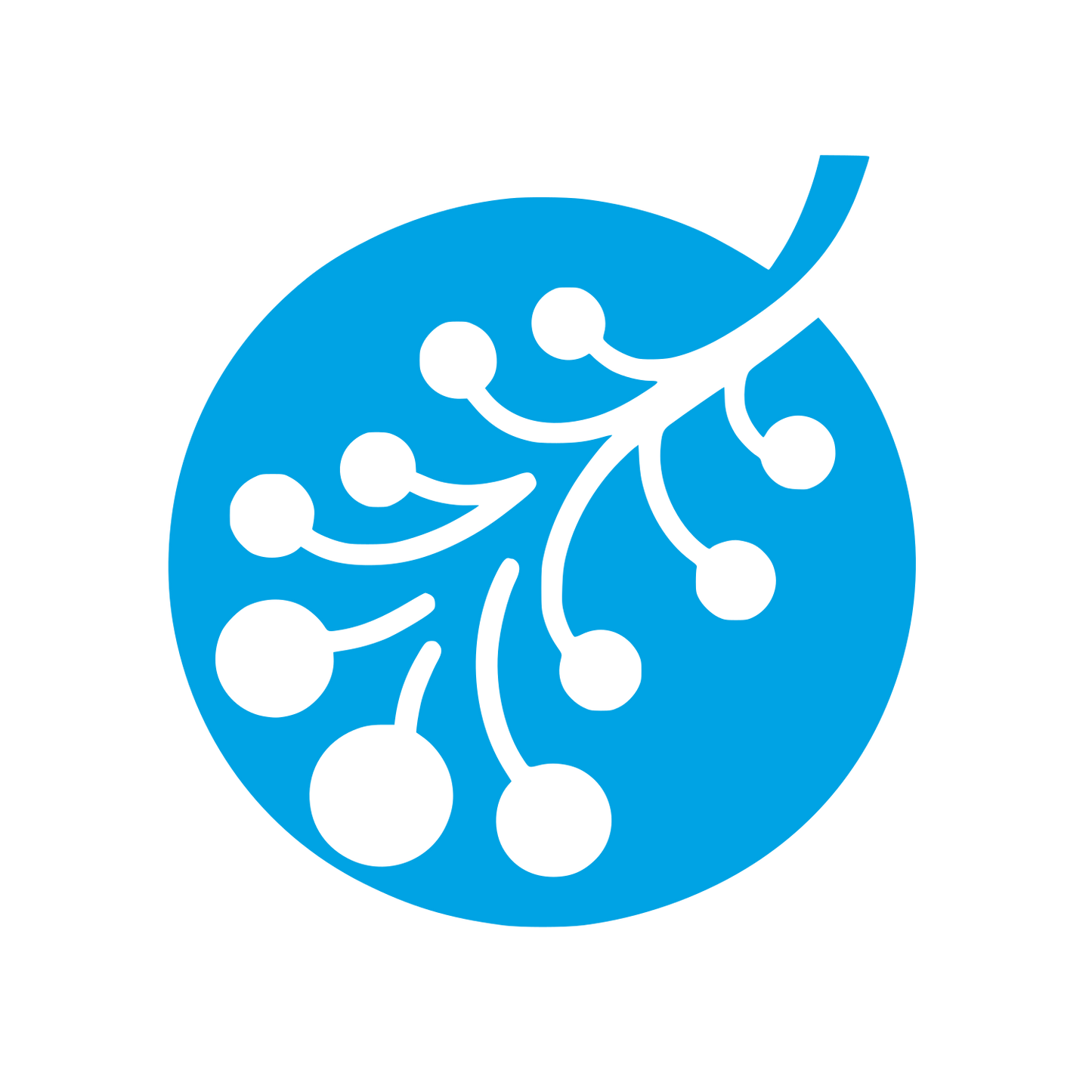 Branch Logo #00a3e4