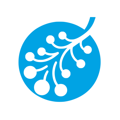 Branch Logo #00a3e4