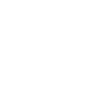 Mistletoe Berry Logo #ffffff