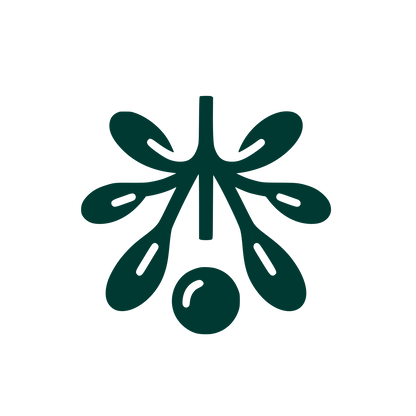 Mistletoe Berry Logo #003932
