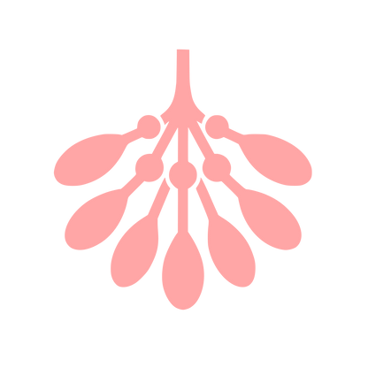 Mistletoe Berries Logo #ffa6a6